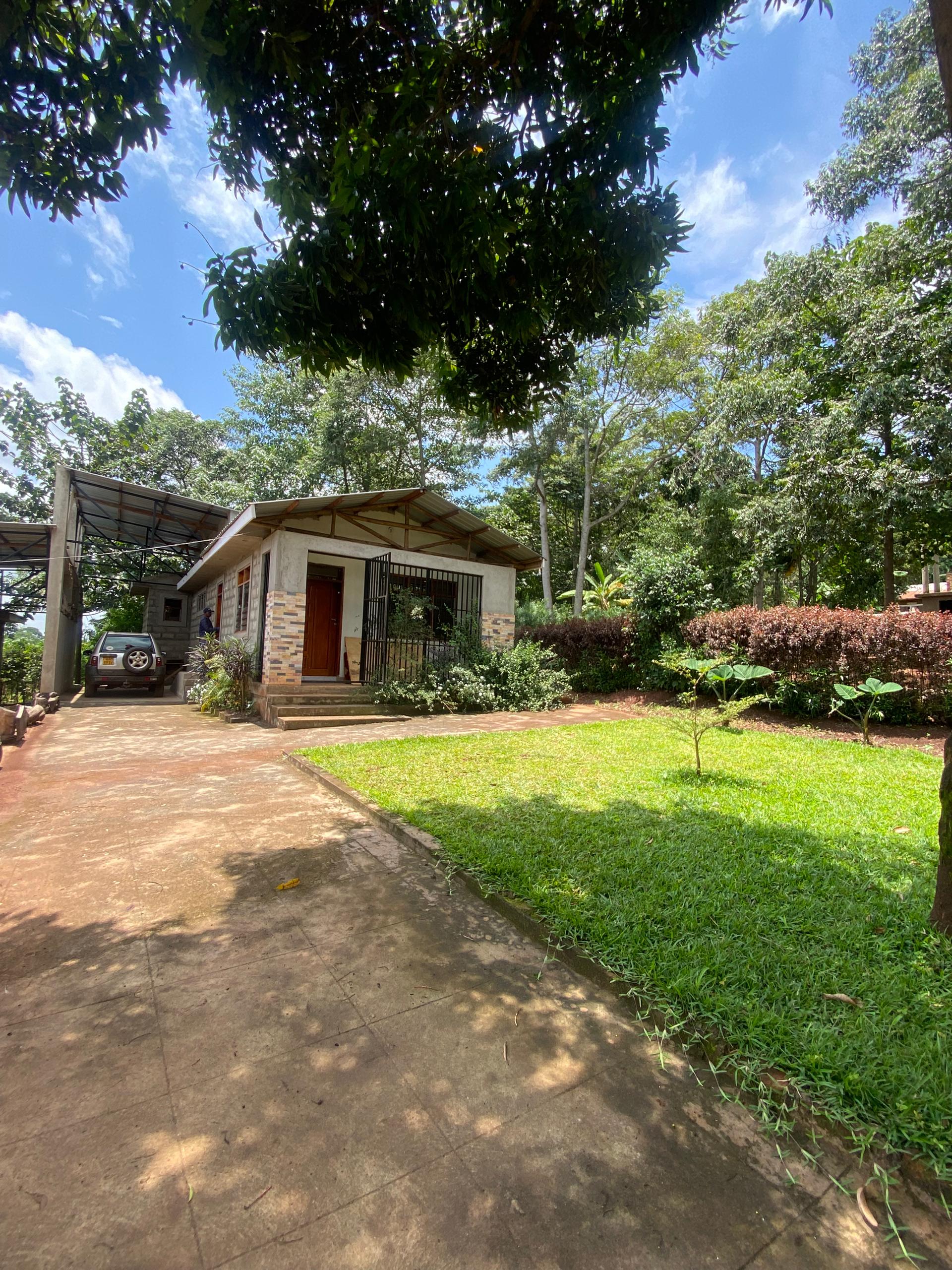 House for rent