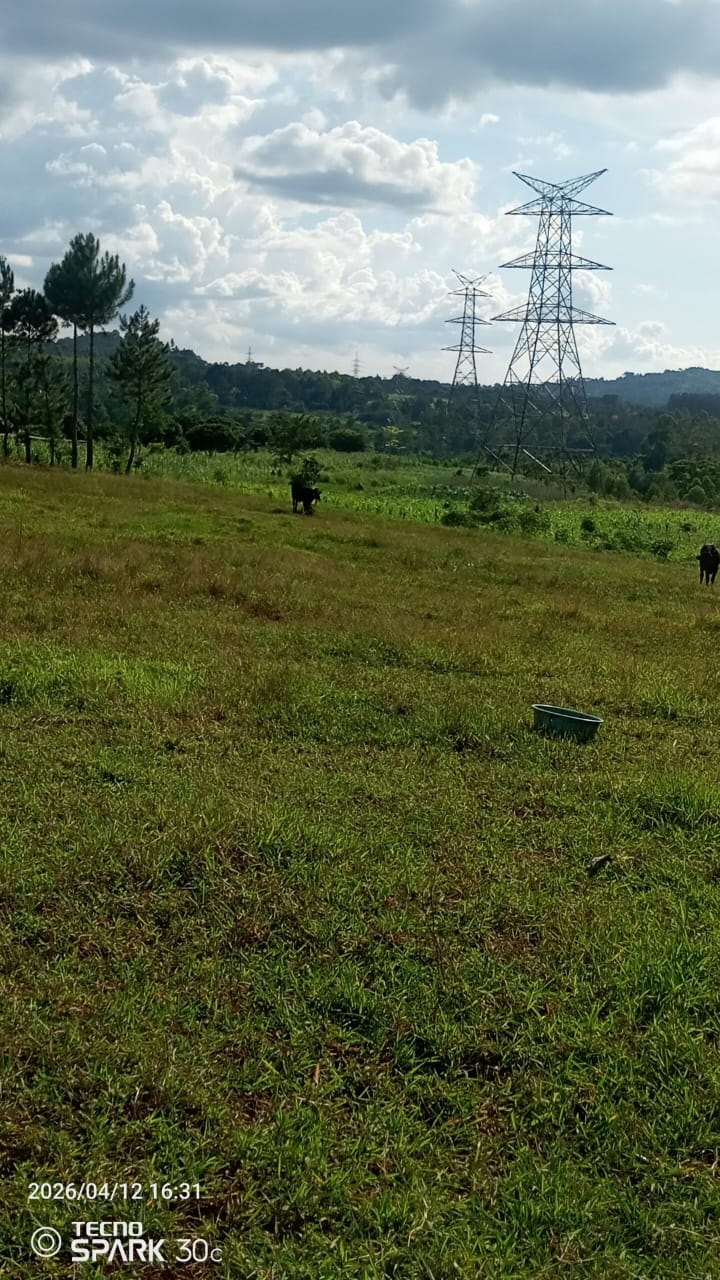 Wakitaka – 60x100 ft Plot