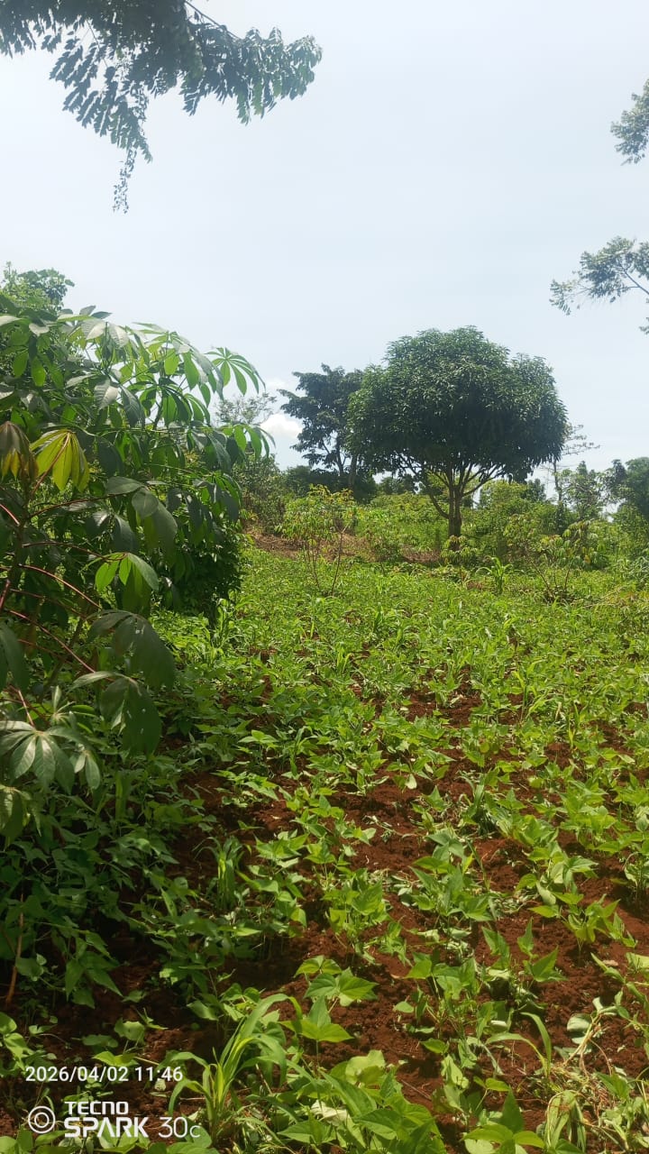 Namulesa – 50x100 ft Plot