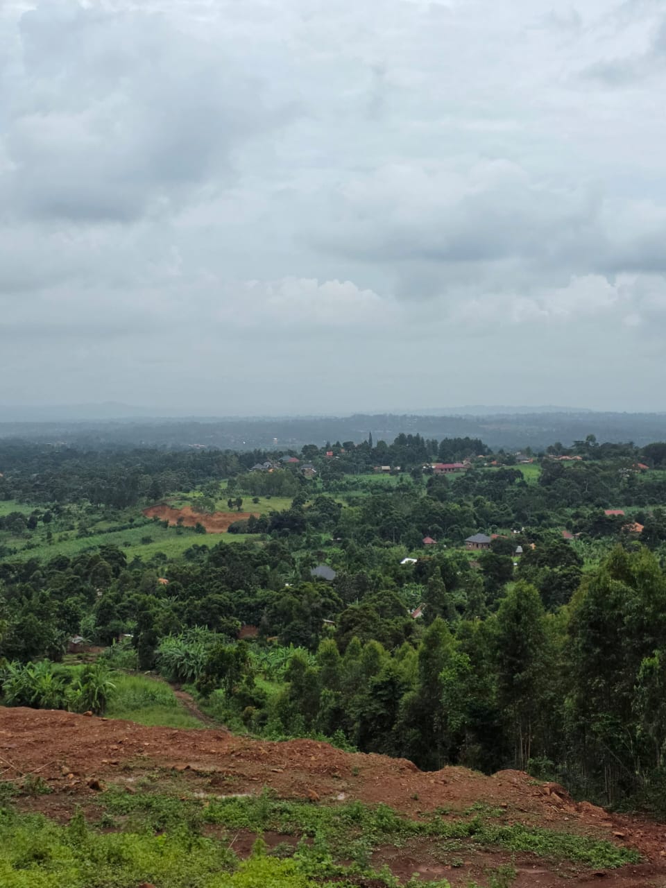 50ftby100ft Butiki Hill